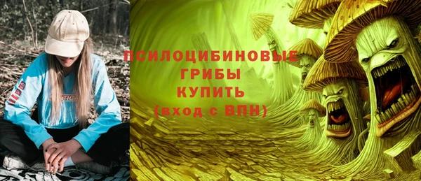 герыч Алексин