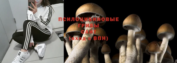 ALPHA-PVP Алзамай